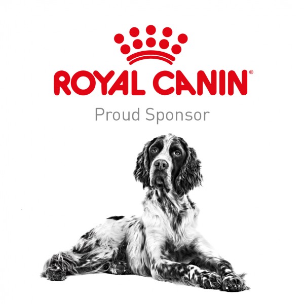 Facebook_tile_to_share_8497_RC_Proud_to_Support_FB_Tiles_Generic_Dog_002.jpg
